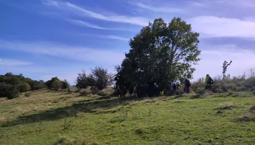 Naturværdi for mennesker